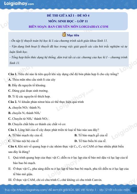 Đề kiểm tra giữa kì 1 Sinh 11 - Đề số 4 có lời giải chi tiết